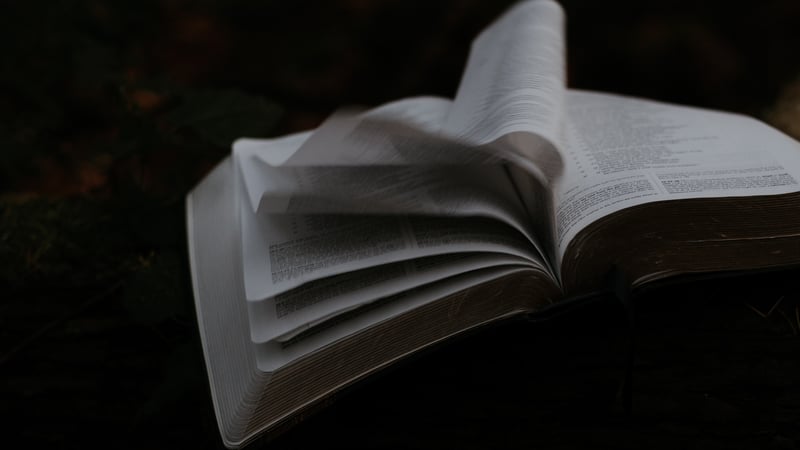 Waarom zijn er zoveel verschillende interpretaties?