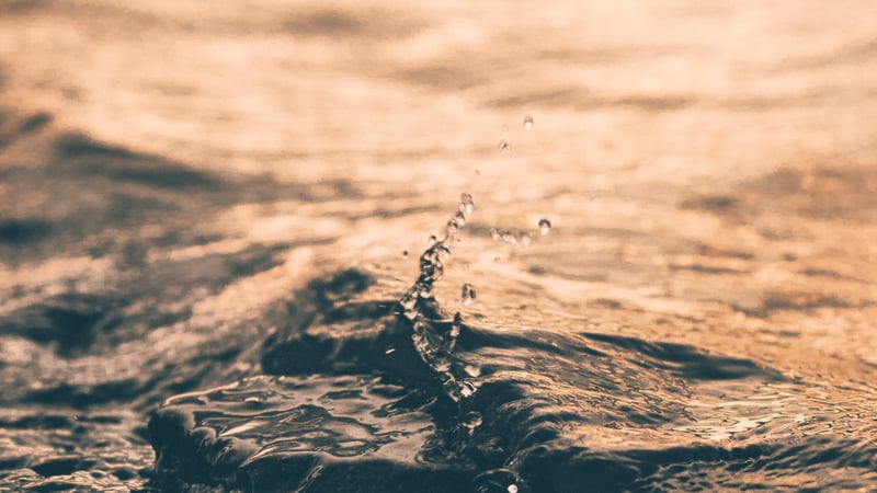 Mag ik pleiten op mijn kinderdoop?