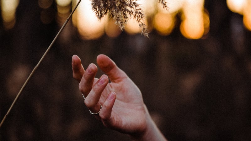 Ik twijfel aan Gods bestaan, wat moet ik doen?