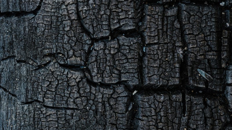 Wat is jouw weerwoord? (Job 13:15)